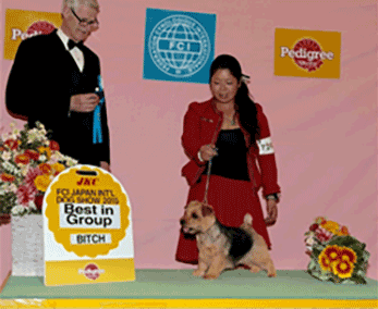 受賞報告：FCIジャパンインターナショナルドッグショー2015