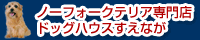 ノーフォークテリア専門店｜ドッグハウスすえなが