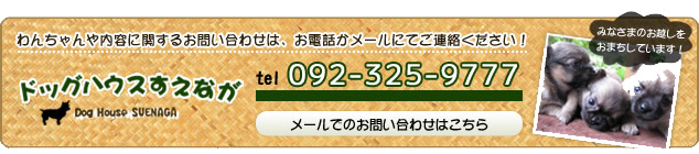 ドッグハウスすえながヘのお問い合わせはこちら