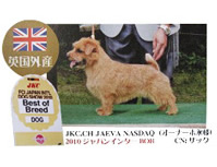 ザック